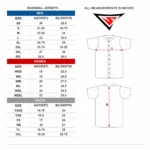 CUSTOM BASEBALL TEAM UNIFORM PACKAGE - PRO - Image 2